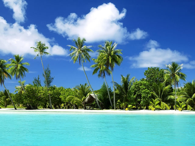 Awesome noon on tropical beach wallpaper - Beach Wallpapers