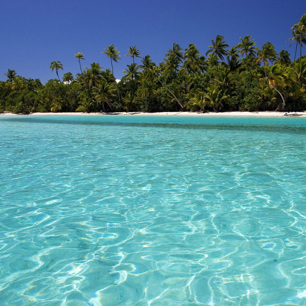 Crystal clear tropic wallpaper - Beach Wallpapers