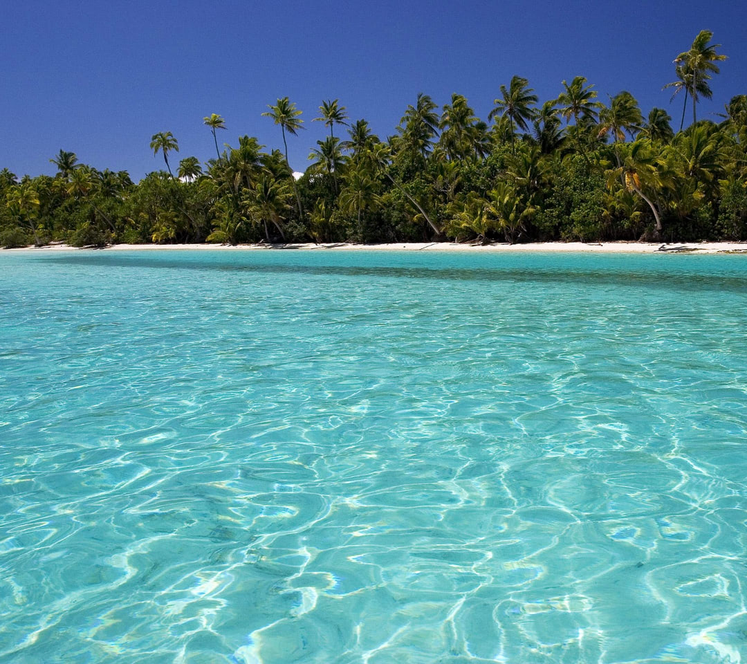 Crystal clear tropic wallpaper - Beach Wallpapers