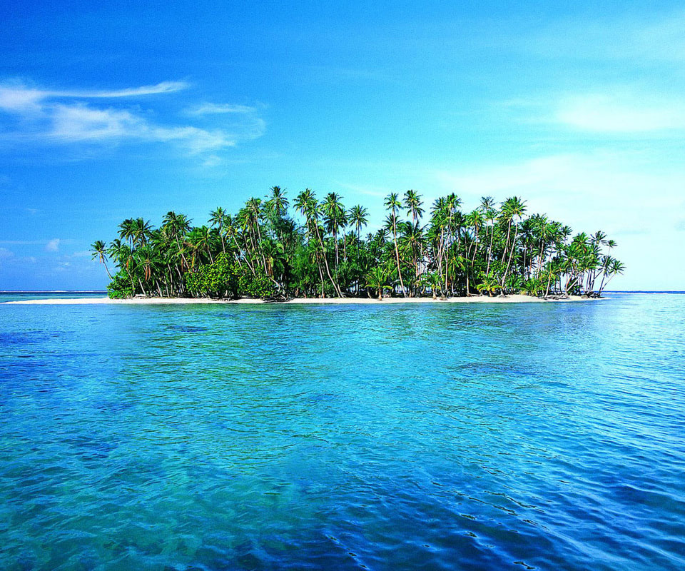 Lonely island with white sand and green tropic palms wallpaper - Beach ...