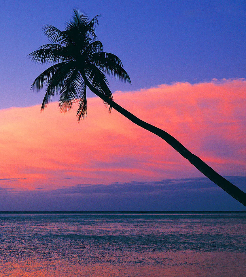 Look at the pink sunset from the beach wallpaper - Beach Wallpapers