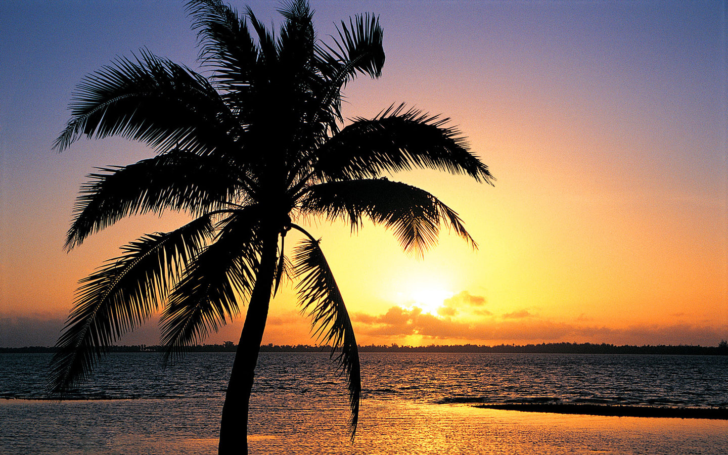 Orange sunset on the tropic beach background - Beach Wallpapers