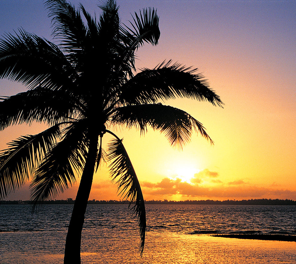 Orange sunset on the tropic beach background - Beach Wallpapers