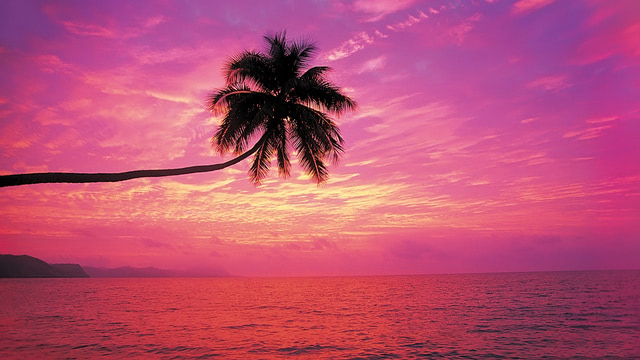 50 Best Sunset Wallpaper iPhone Sunset Beach Backgrounds  Good Mom  Living