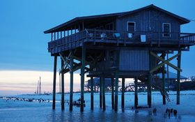 50 year old cabin in Dog Island, Florida