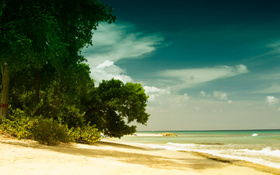 Barbados beach wallpaper