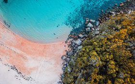 Blue water, sand rocks and amazing colors of nature in Manly, Sydney, Australia