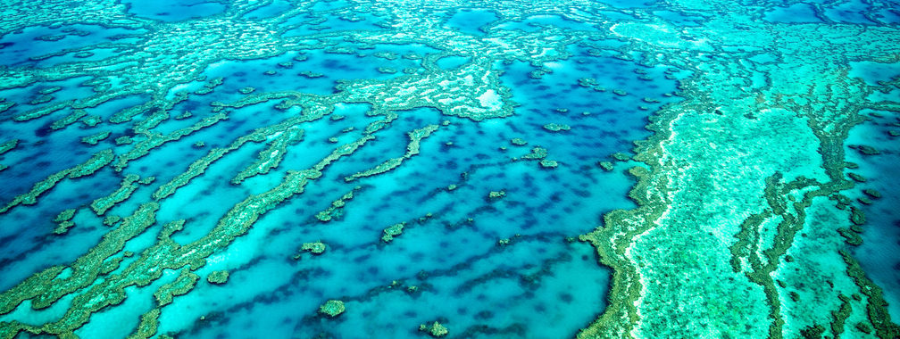 Breathtaking coral reefs at Great Barrier Reef in Australia