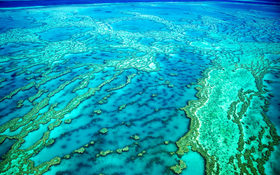 Breathtaking coral reefs at Great Barrier Reef in Australia