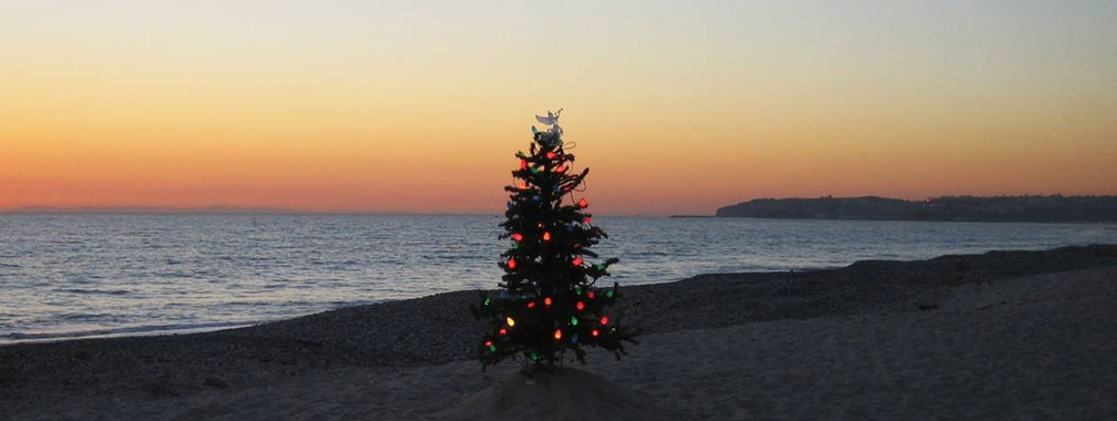 Christmas tree on a beach