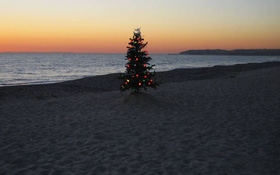 Christmas tree on a beach