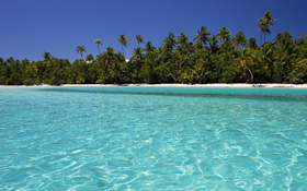 Crystal clear tropic wallpaper