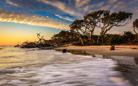 Driftwood Beach on Jekyll Island, Georgia