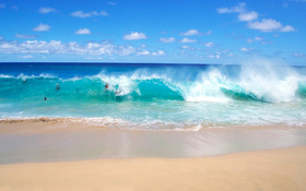 Fun on the playful ocean waves wallpaper