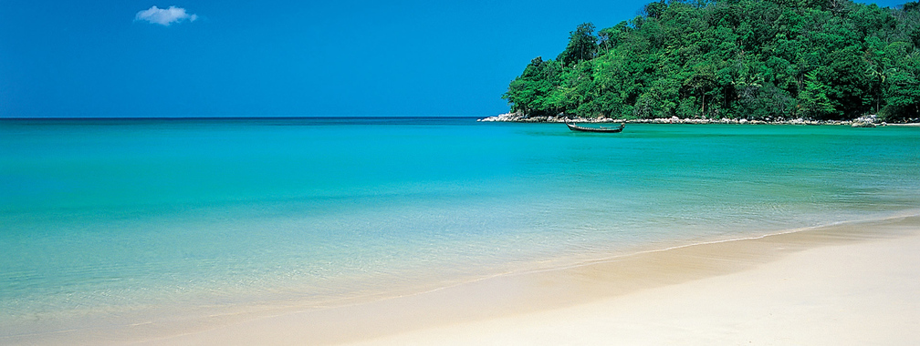 Green tropic island beach background