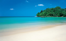 Green tropic island beach background