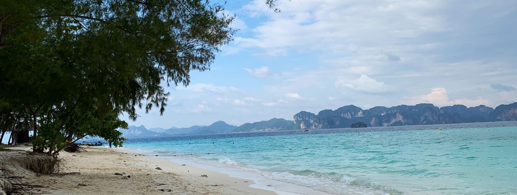 Green tree on white sandy beach in Krabi, Thailand