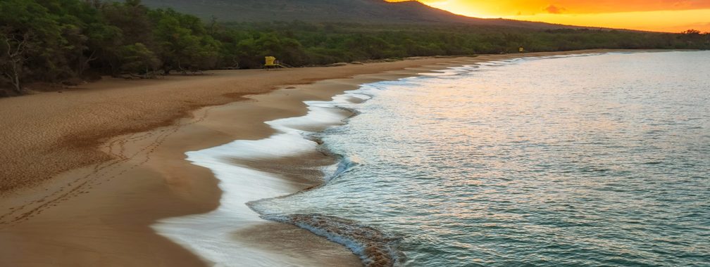 Green trees beside sea during sunset in Kihei in United States