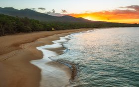 Green trees beside sea during sunset in Kihei in United States