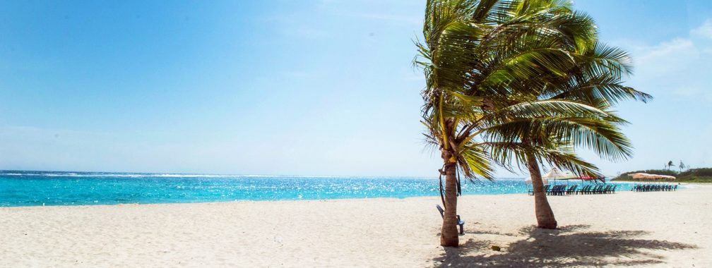 Hot wind and palm trees in Long Island, Bahamas