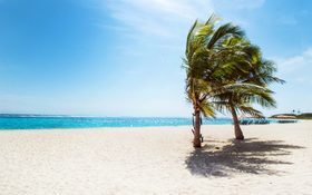 Hot wind and palm trees in Long Island, Bahamas