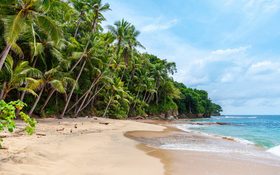 Landscape wallpaper of seashore in Playa Blanca, Saboga, Panama