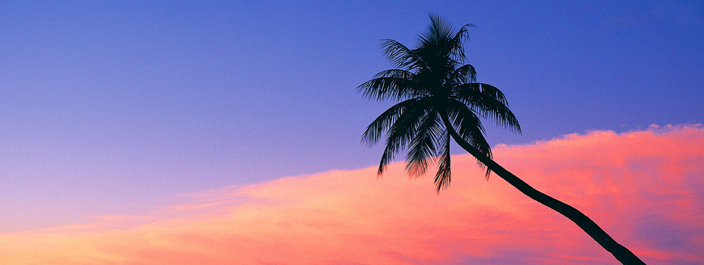 Look at the pink sunset from the beach wallpaper