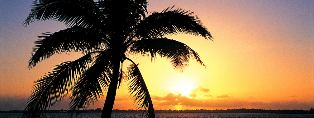 Orange sunset on the tropic beach background