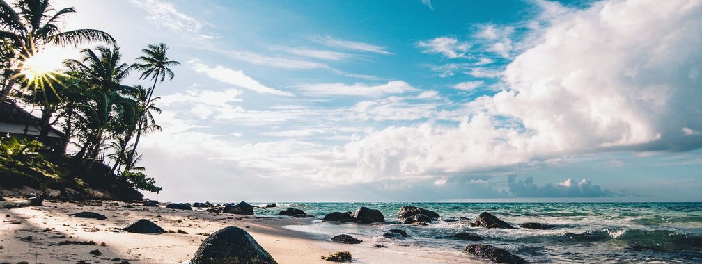 Palm trees and wild waves at Little Corn Island’s beach in Nicaragua