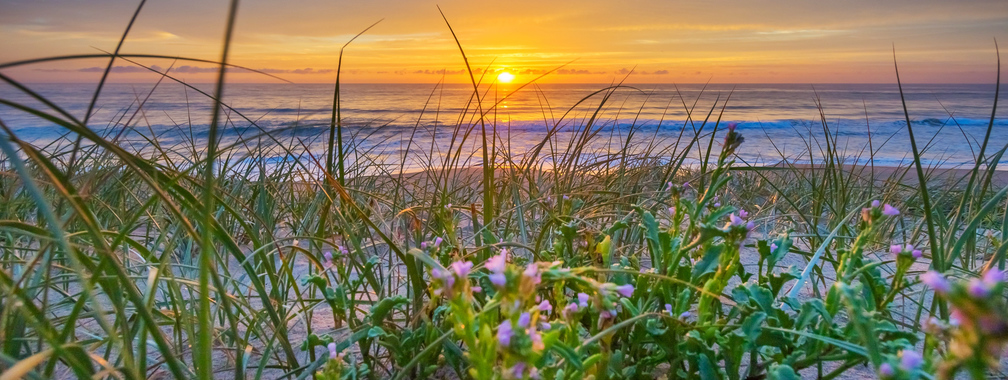 Relaxing wallpaper of Shoalhaven Heads, Australia