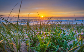 Relaxing wallpaper of Shoalhaven Heads, Australia