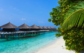 Stunning tropical beach bungalows
