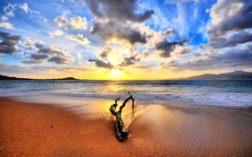 Sunset And Drift Wood On The Beach Background