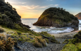 The island surrounded by trees on O’Neill Bay in New Zealand