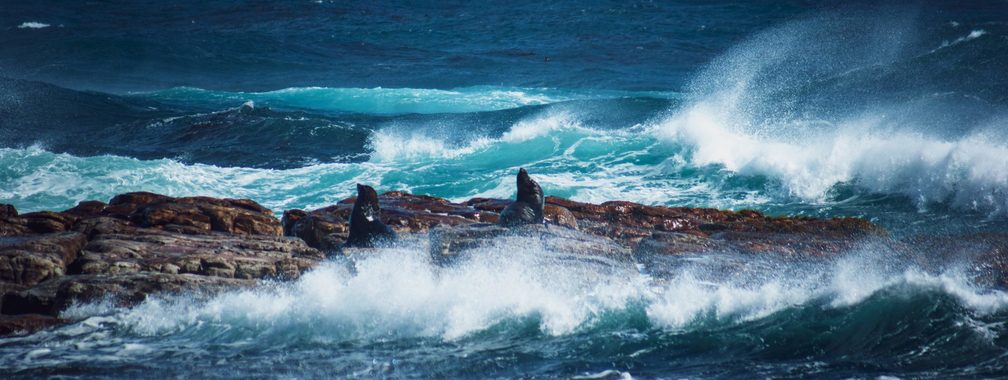 The magical colors of the Cape Point waters