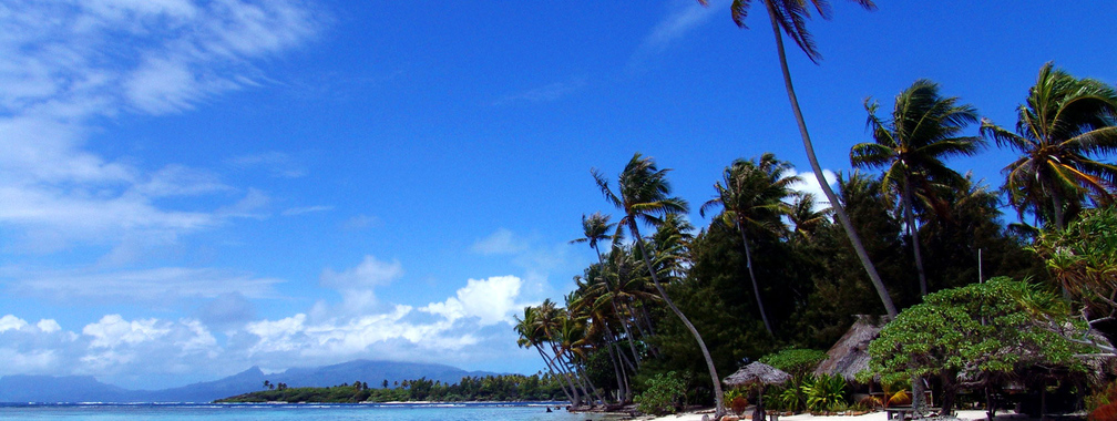 Windy Day On Tropic Beach Wallpaper