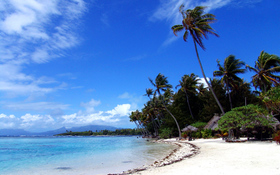 Windy Day On Tropic Beach Wallpaper