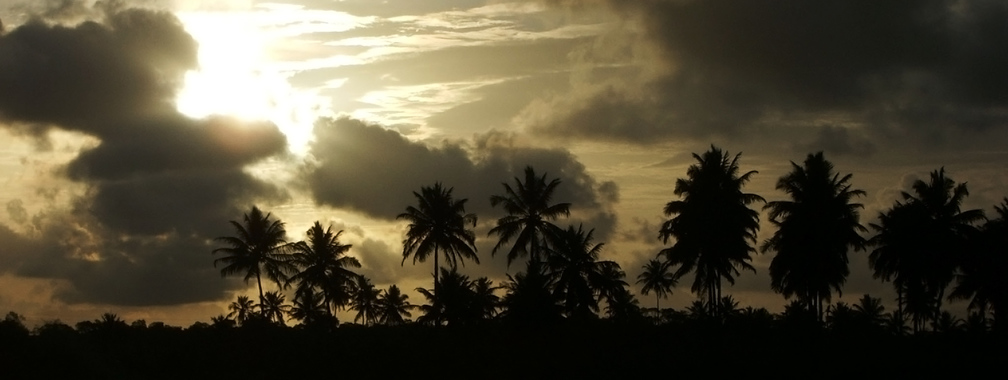 Yellow sunset over the Brazilian beach wallpaper