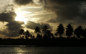 Yellow sunset over the Brazilian beach wallpaper