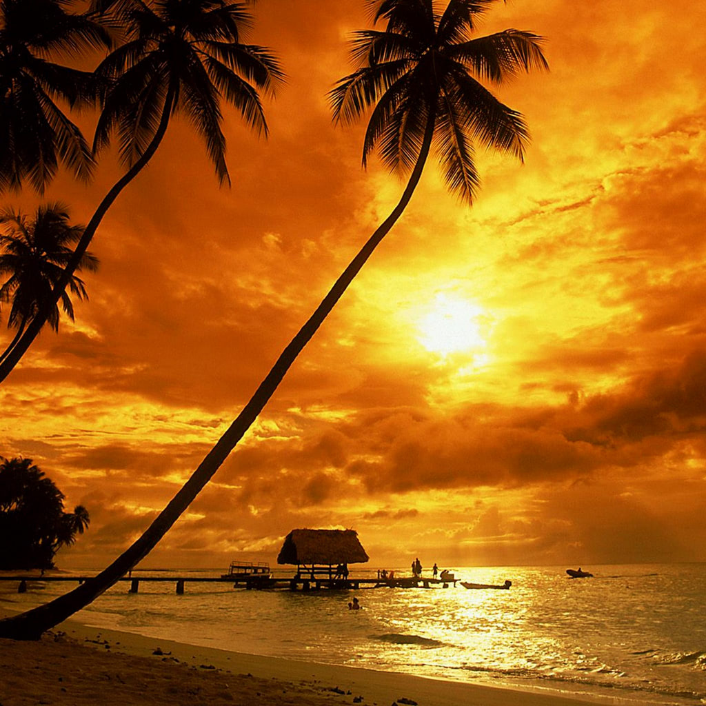 tropical sunset wallpaper