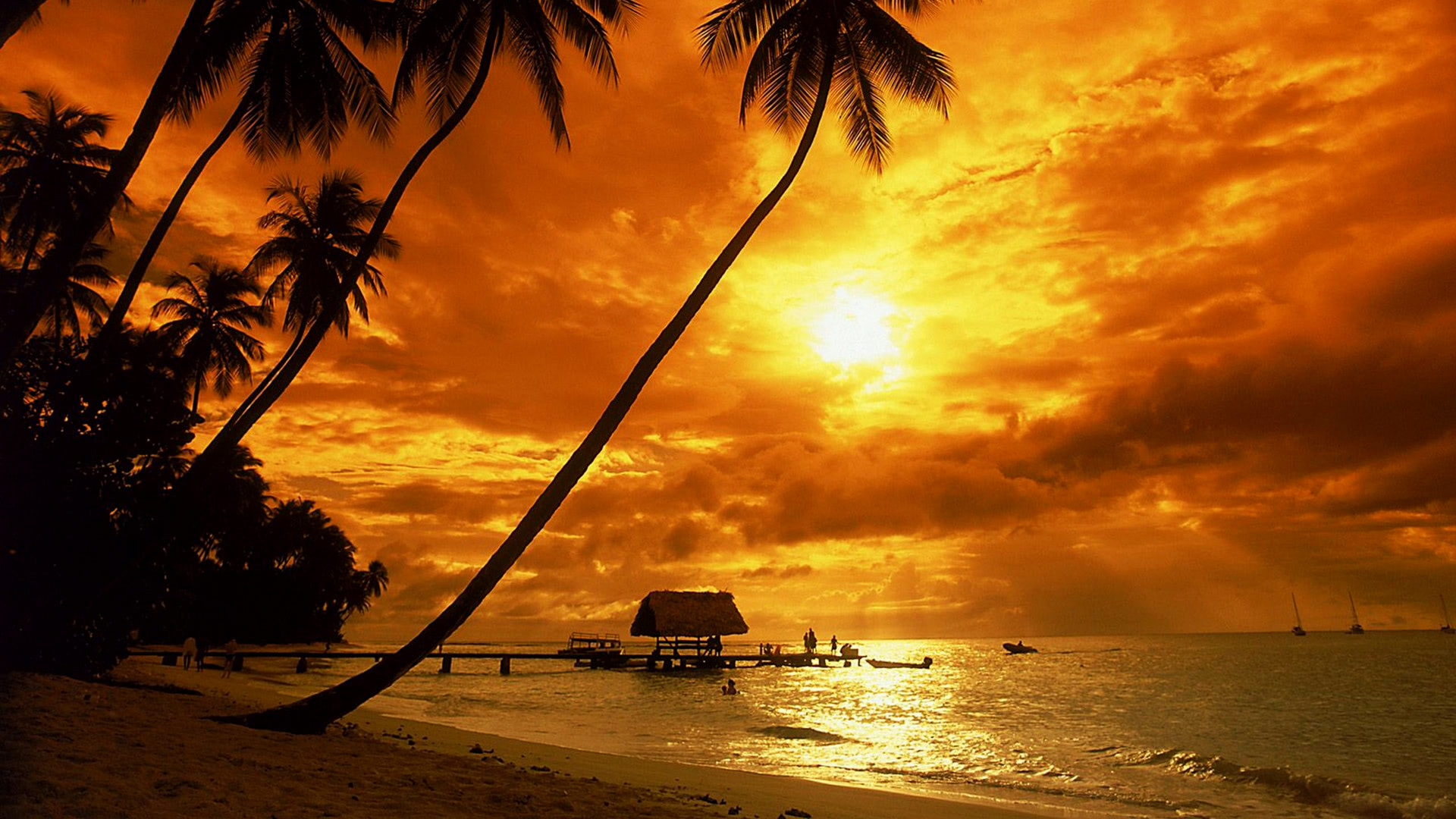 Tropical Beach Sunset HD Wallpaper