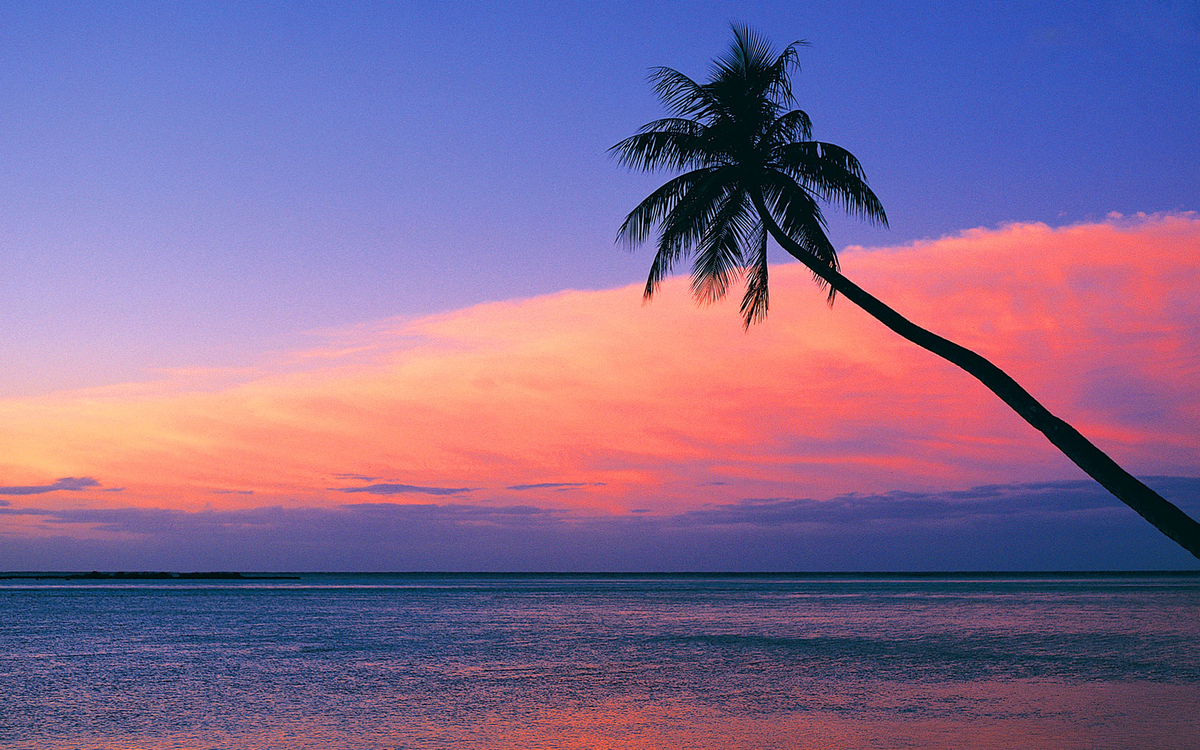 Look at the pink sunset from the beach wallpaper - Beach Wallpapers