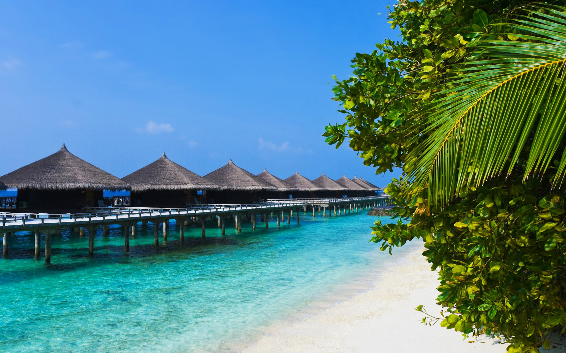 Stunning tropical beach bungalows - Beach Wallpapers