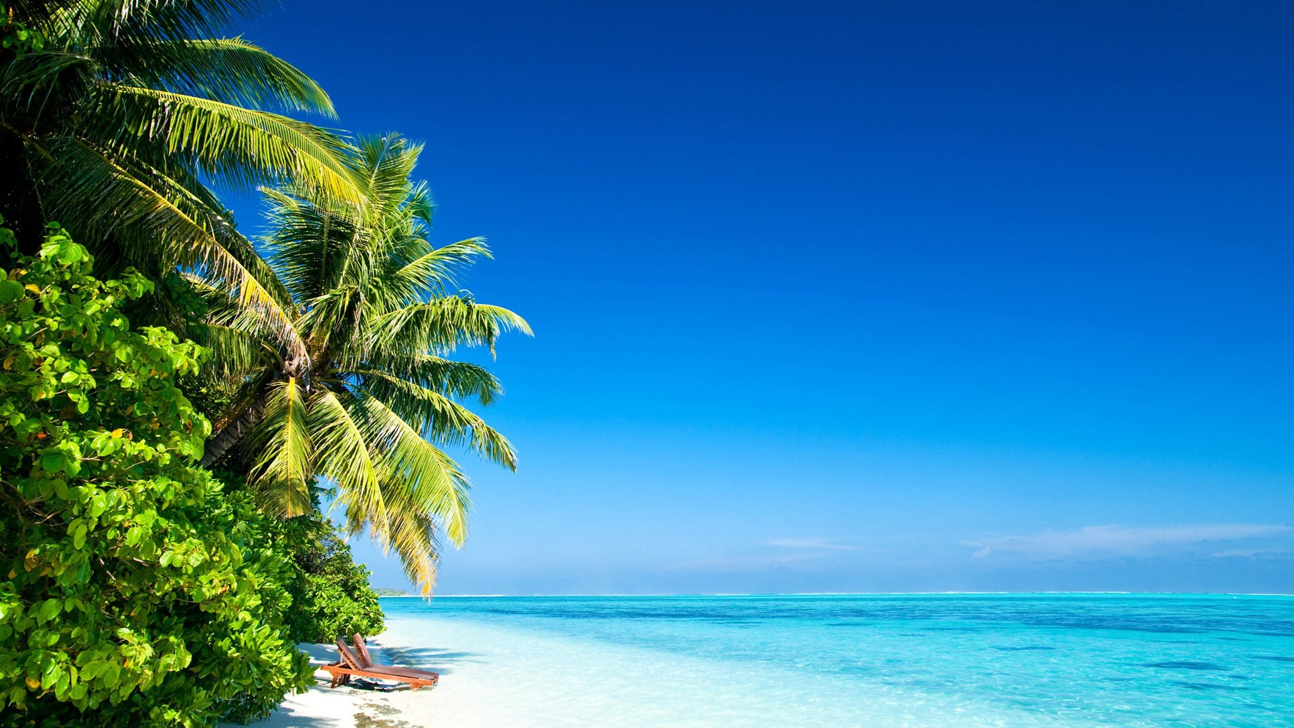 Ocean And Tropical Beach Wallpaper Tropical Beach Wallpapers, Pictures,
Images