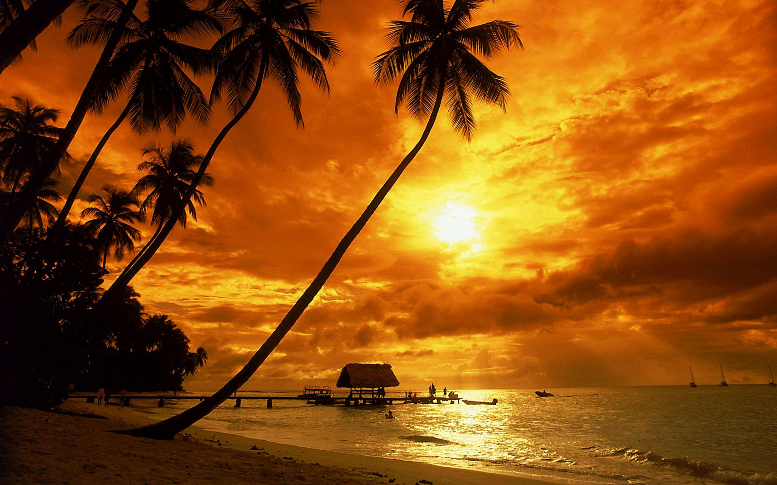 Tropical sunset wallpaper.